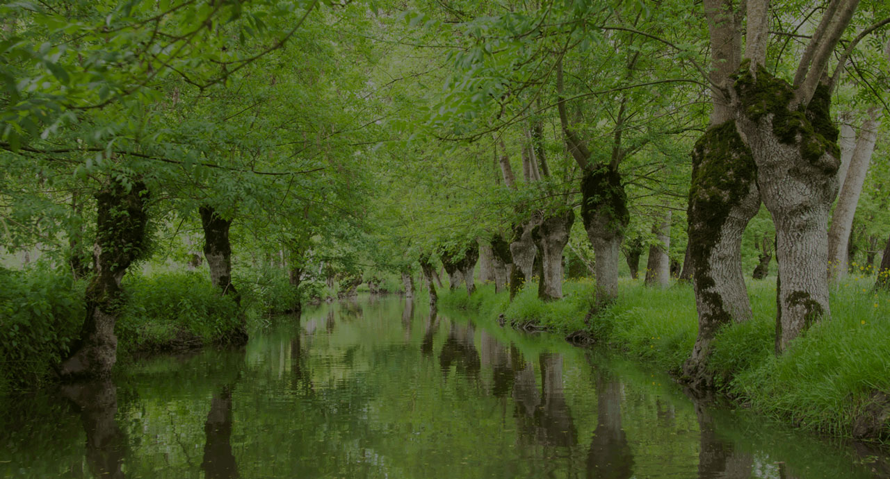 studyrama-la-roche-yon